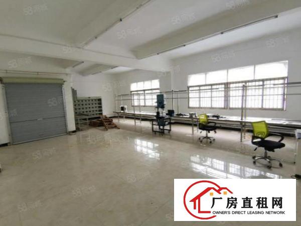  松岗红星新出2楼厂房500平，实际面积出租，无转让费