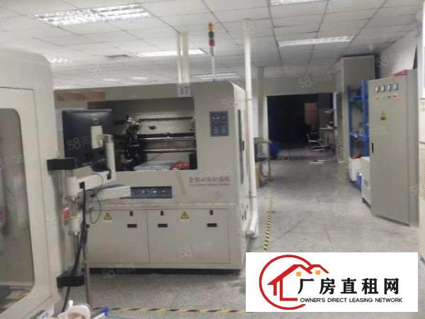  松岗红星新出2楼厂房500平，实际面积出租，无转让费