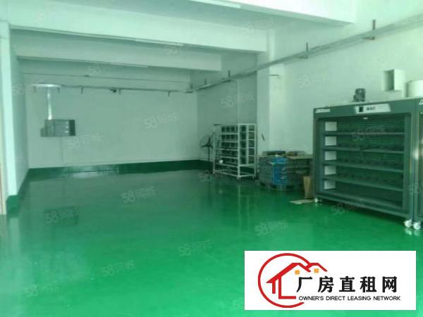  松岗燕川2楼整层2400平豪华精装修不要转让费全包价18元