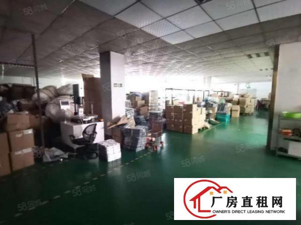  松岗朗下第三工业区新出带行车独栋1400平方可分租