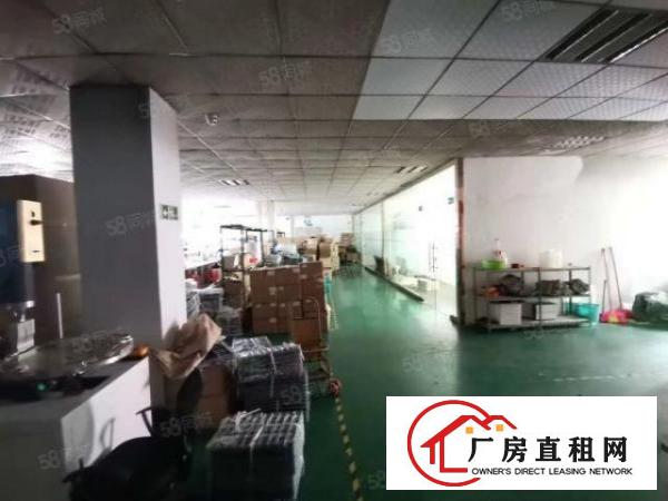  松岗朗下第三工业区新出带行车独栋1400平方可分租