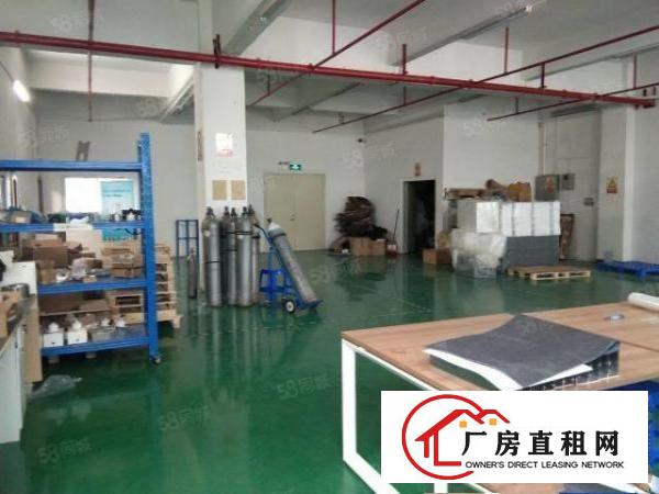  大田洋工业区，经典小户型，600平，精装修拎包入住即可使用