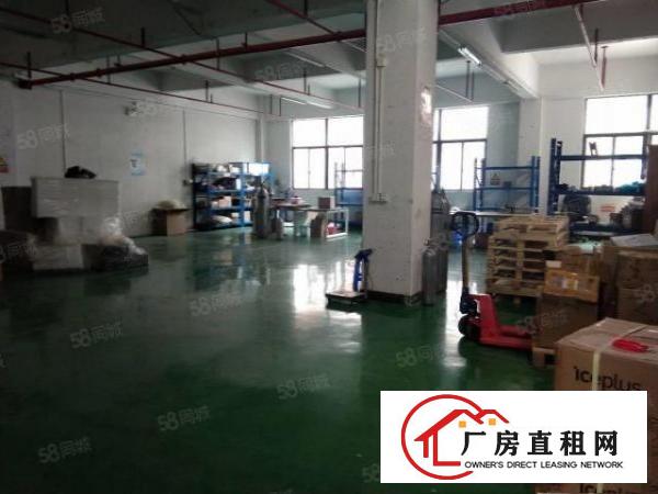  大田洋工业区，经典小户型，600平，精装修拎包入住即可使用