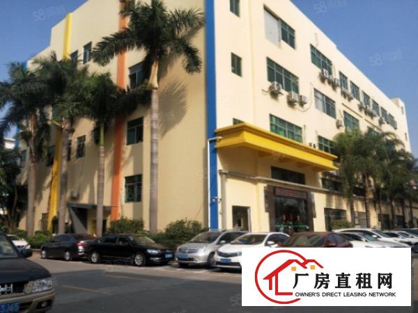  松岗沙浦围新出楼上430带装修有办公室装修低价出租