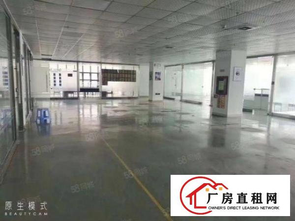  松岗沙浦围原房东独门独院标准厂房21600平有红本
