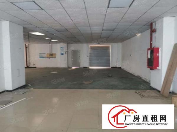  松岗江边新出520平厂房可分一半，水电齐全，配套齐全
