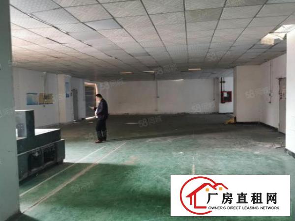  松岗江边新出520平厂房可分一半，水电齐全，配套齐全