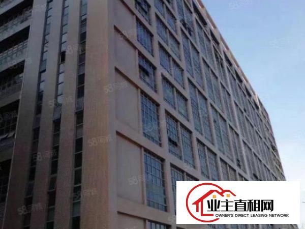  松岗原房东直租新红本厂房3900平米整层有装修形象好价格好