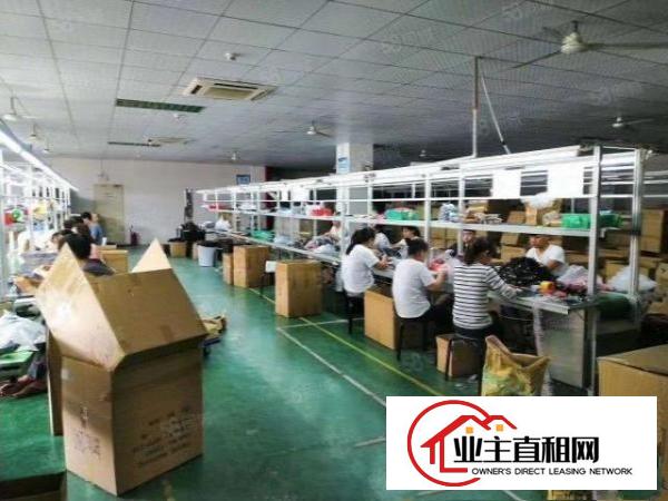  松岗原房东直租新红本厂房3900平米整层有装修形象好价格好