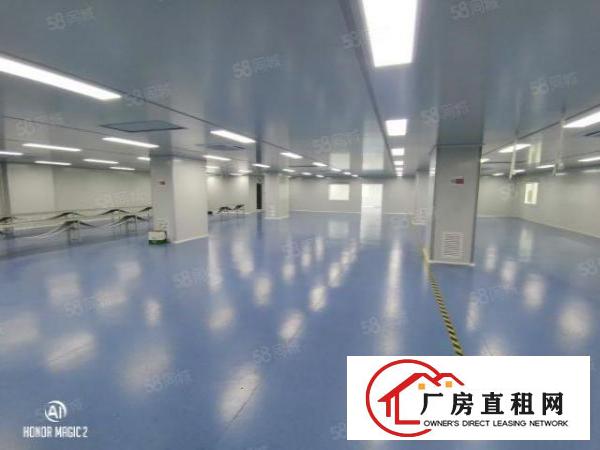 松岗无尘车间，楼上1700平方。