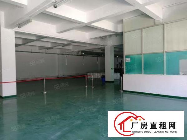  松岗沙浦靠近107国道边上带全新地漆带精装办公室厂房900平