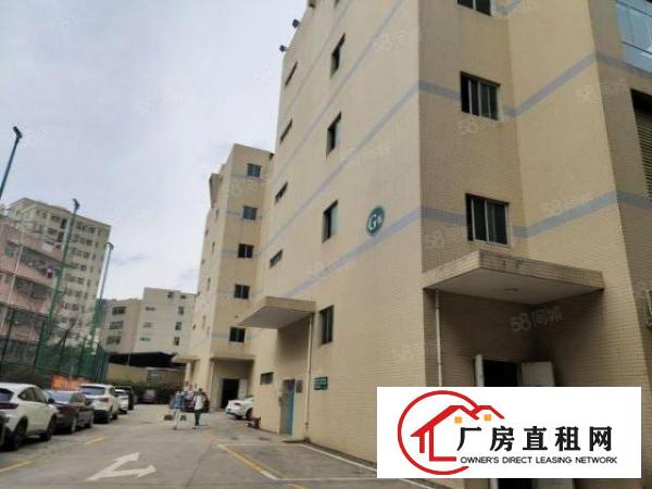  石岩上屋地铁口新出原房东实际面积精装修1000平方厂房出租