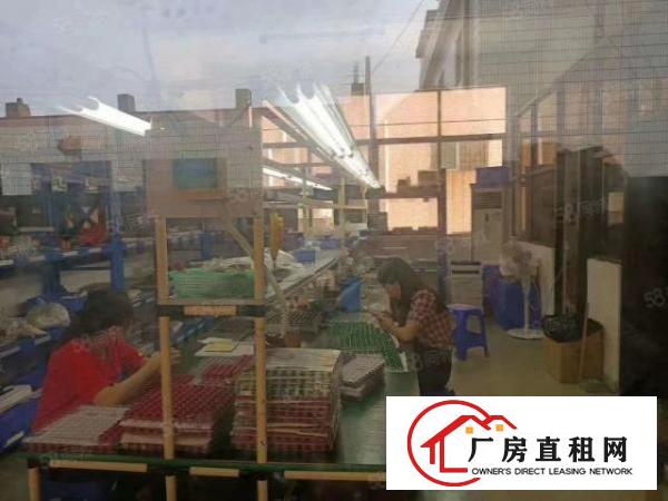  松岗碧头高架桥边独院三层3200平方厂房出租
