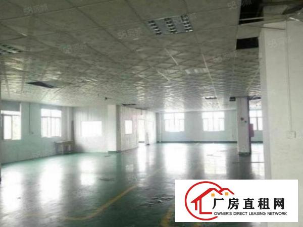 松岗东方700平无公摊厂房出租，面积实在形象好