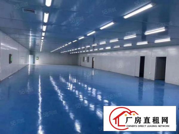  原房东红本无尘车间厂房出租1450平方