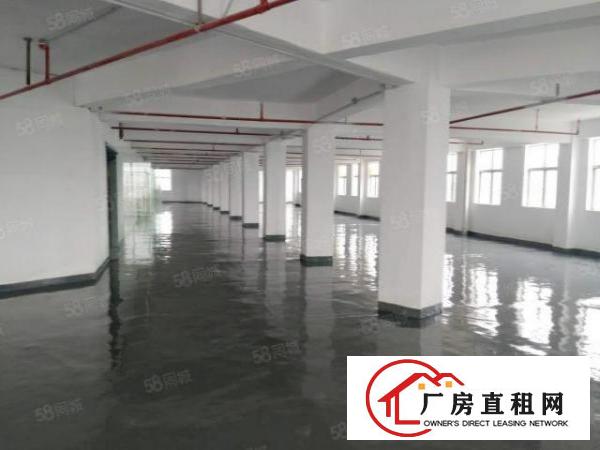  松岗产业园|小面积厂房特价出租|园区空地大|地理位置优越