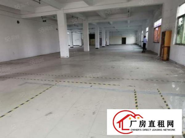  松岗红星新出二楼1800平标准厂房，交通方便配套齐全