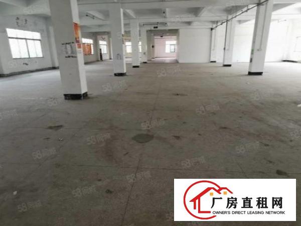  松岗红星新出二楼1800平标准厂房，交通方便配套齐全