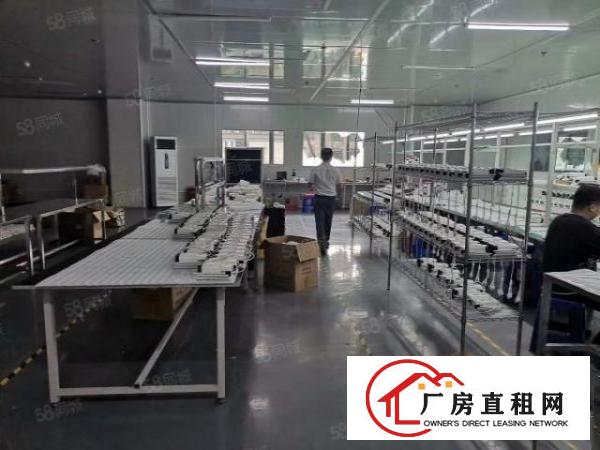  原房东厂房新出550平方带精装修。