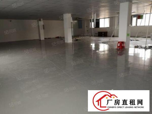  松岗东方700平无公摊厂房出租，面积实在，形象好