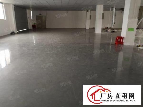  松岗东方700平无公摊厂房出租，面积实在，形象好