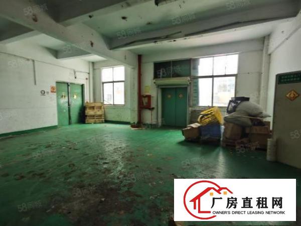  松岗全新独门独院500平厂房出租