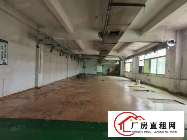  松岗全新独门独院500平厂房出租