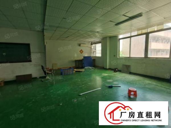  松岗全新独门独院500平厂房出租