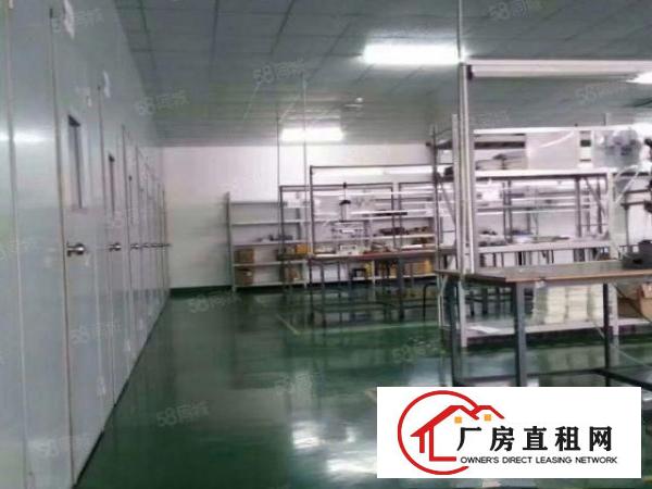  松岗第二工业村高新园厂房出租，无尘车间1300平方，可做口罩