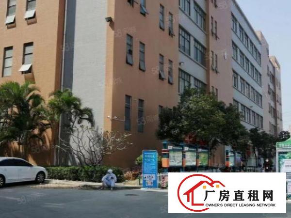  松岗第二工业村高新园厂房出租，无尘车间1300平方，可做口罩