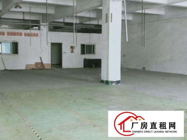  松岗红星工业区新出带办公室装修700平厂房出租