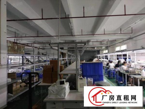  松岗罗田第三工业区1200平豪华装修厂房招租，适合电子等行业