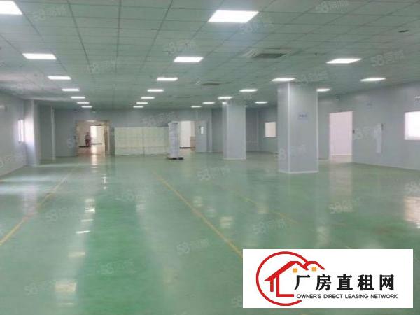  豪华装修，高新产业园无尘车间3600平整层厂房分租，水电齐全