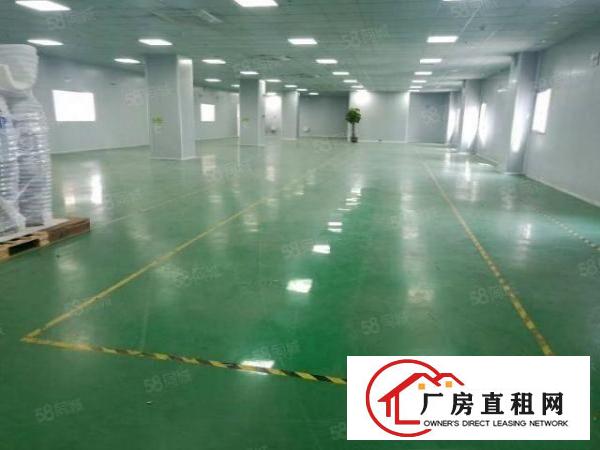  豪华装修，高新产业园无尘车间3600平整层厂房分租，水电齐全