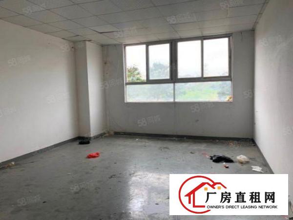  松岗芙蓉路新出1000平厂房出租，格局方正,形象好