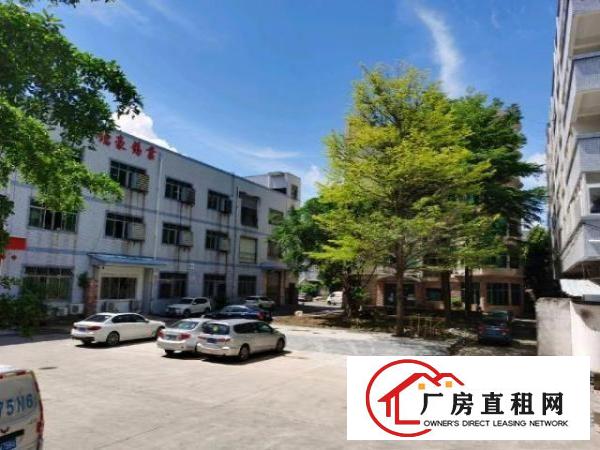  千年等一回！松岗大田洋！手快有手慢无！租到就赚到！