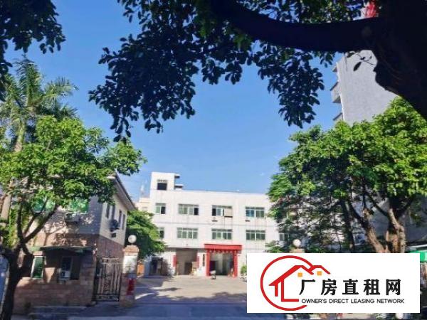  千年等一回！松岗大田洋！手快有手慢无！租到就赚到！