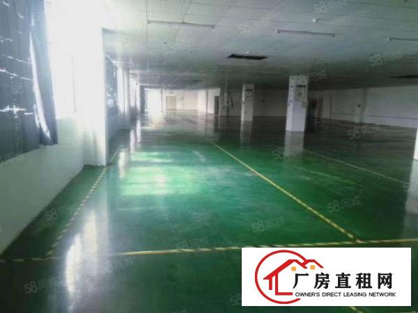  900平方精装修厂房出租