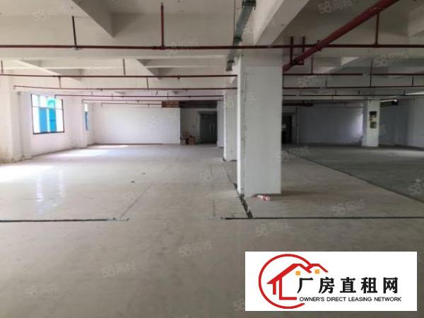  松岗标准厂房分租，可做模具冲床注塑电子贴片印刷光电设备
