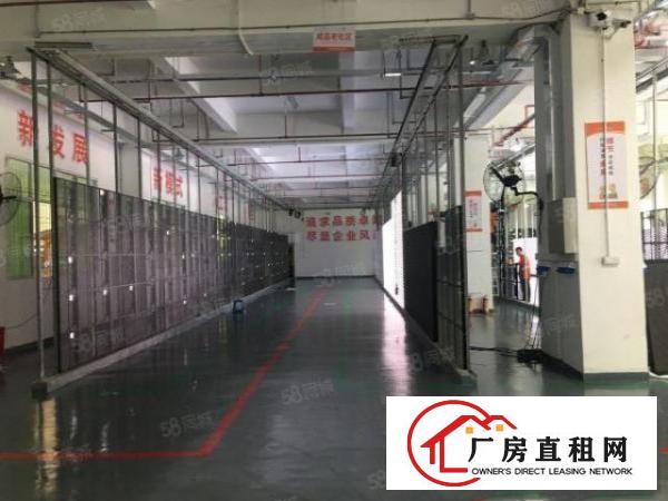  松岗标准厂房分租，可做模具冲床注塑电子贴片印刷光电设备