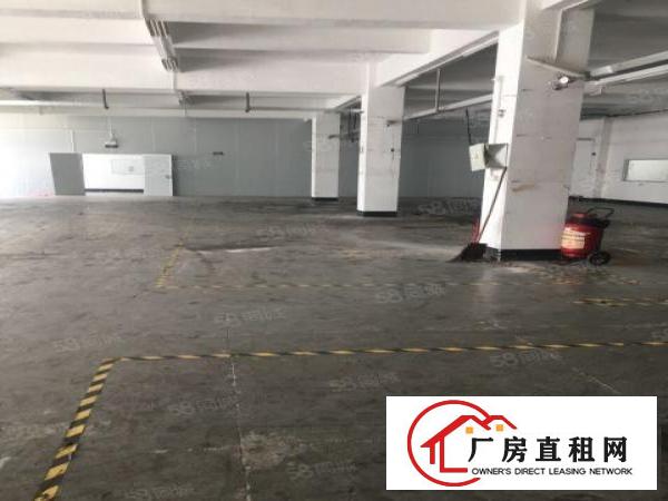  松岗标准厂房分租，可做模具冲床注塑电子贴片印刷光电设备
