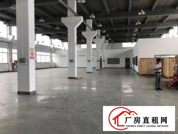  松岗107国道新出单一层独栋标准一楼带牛角厂房招租