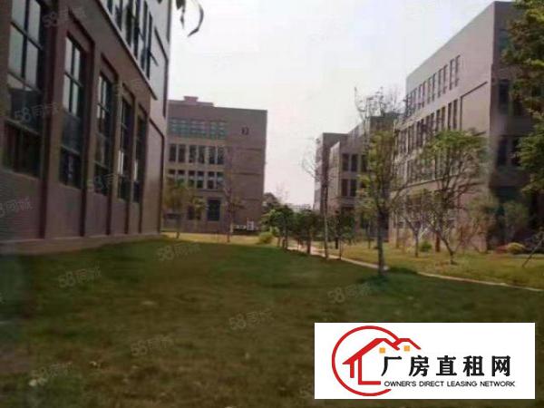  特价急租厂房500100030005000
