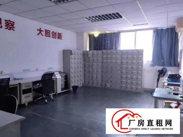  石龙仔水田工业区新出精装修厂房
