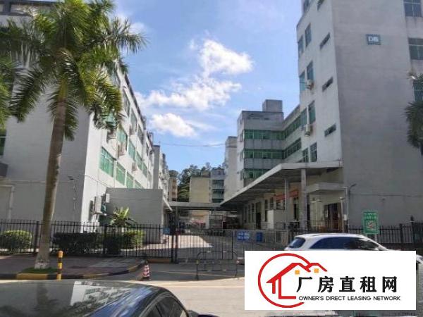  村委一手厂房17000平零公摊
