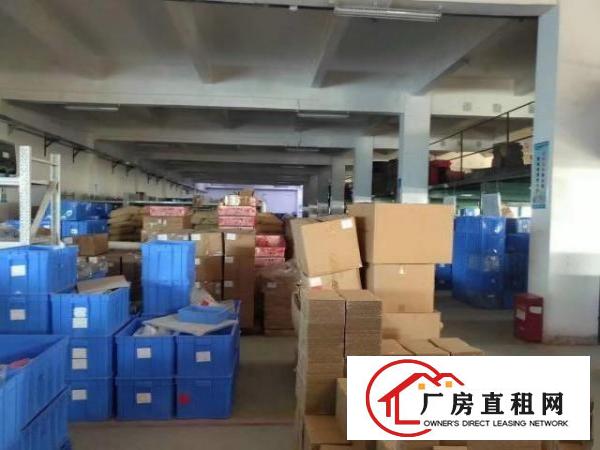  石岩外环路新出精装修厂房一楼厂房