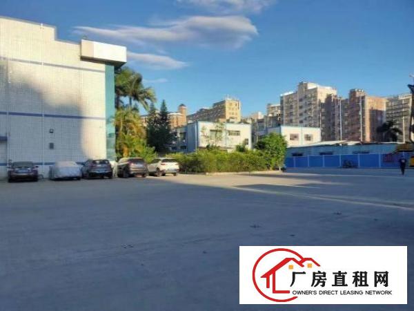 石岩外环路新出精装修厂房一楼厂房