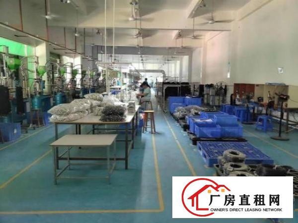  石岩外环路新出精装修厂房一楼厂房