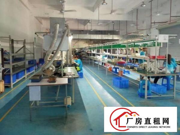  石岩外环路新出精装修厂房一楼厂房