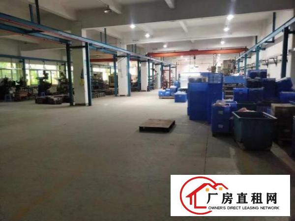  石岩外环路新出精装修厂房一楼厂房